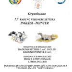 13° Raduno Veronese Setter Inglesi – Pointer