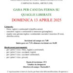 Gara per cani da ferma su quaglie liberate
