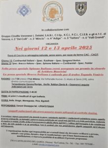 Prova di caccia su selvaggina naturale, senza sparo, per razze cani da ferma CAC-CACIT